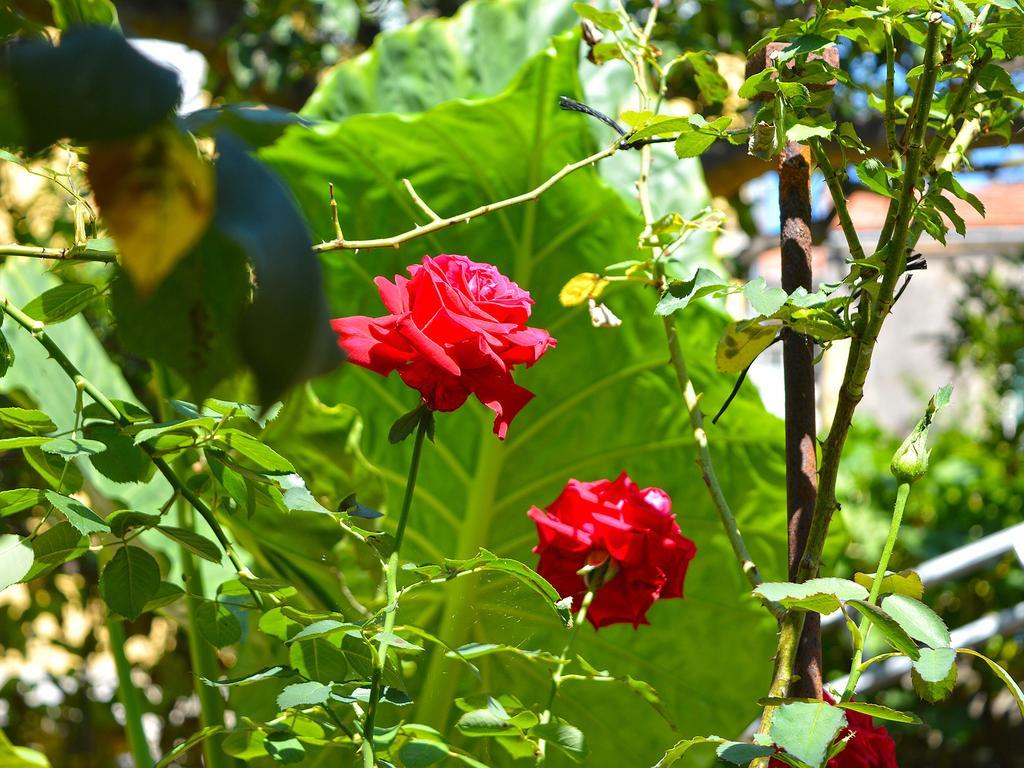 The Secret Garden Relais Hotel Piano di Sorrento Kültér fotó